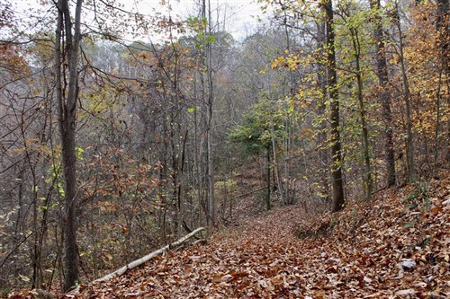 Autumn Ridge Tract 18