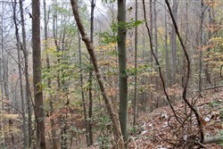 Autumn Ridge Tract 18