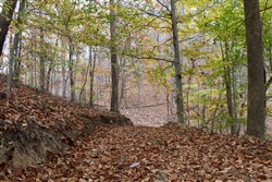 property photo for Autumn Ridge Tract 19, 11.55 acres for sale in Leslie County, Kentucky