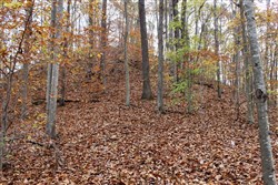 property photo for Autumn Ridge Tract 19, 11.55 acres for sale in Leslie County, Kentucky