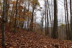 property photo for Autumn Ridge Tract 19, 11.55 acres for sale in Leslie County, Kentucky
