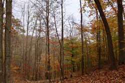 property photo for Autumn Ridge Tract 19, 11.55 acres for sale in Leslie County, Kentucky