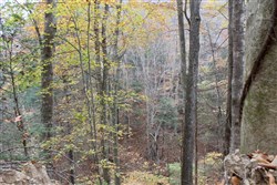 property photo for Autumn Ridge Tract 2, 8.24 acres for sale in Leslie County, Kentucky