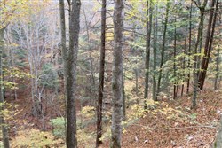 property photo for Autumn Ridge Tract 2, 8.24 acres for sale in Leslie County, Kentucky