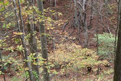 property photo for Autumn Ridge Tract 2, 8.24 acres for sale in Leslie County, Kentucky
