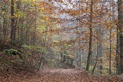 property photo for Autumn Ridge Tract 2, 8.24 acres for sale in Leslie County, Kentucky
