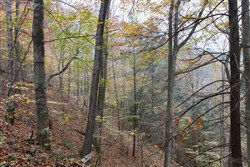 property photo for Autumn Ridge Tract 2, 8.24 acres for sale in Leslie County, Kentucky