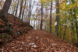 Autumn Ridge Tract 20