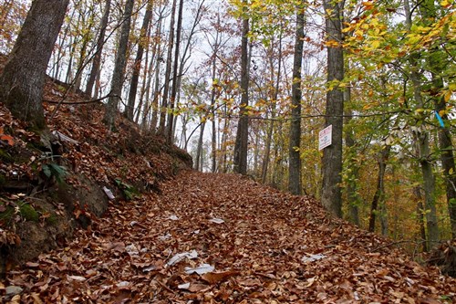 Autumn Ridge Tract 20