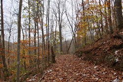 Autumn Ridge Tract 20