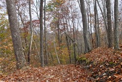 property photo for Autumn Ridge Tract 21, 11.06 acres for sale in Leslie County, Kentucky
