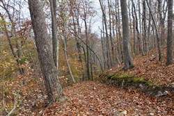 property photo for Autumn Ridge Tract 21, 11.06 acres for sale in Leslie County, Kentucky