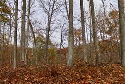 property photo for Autumn Ridge Tract 21, 11.06 acres for sale in Leslie County, Kentucky