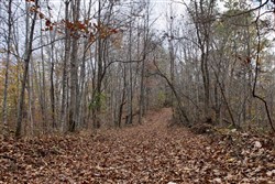 Autumn Ridge Tract 22