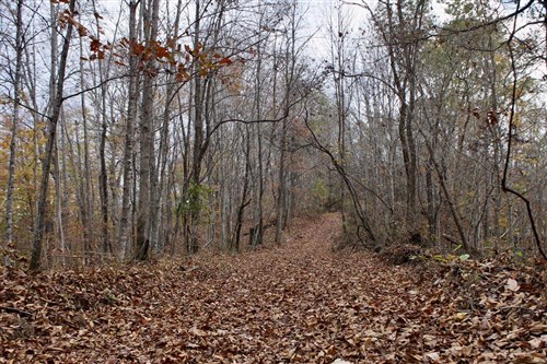 Autumn Ridge Tract 22