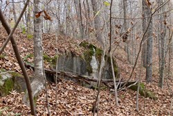 Autumn Ridge Tract 22