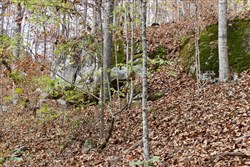 Autumn Ridge Tract 22