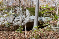 Autumn Ridge Tract 22