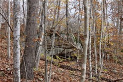 Autumn Ridge Tract 22