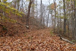 Autumn Ridge Tract 23