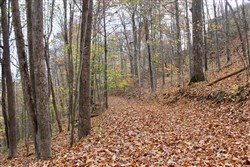 Autumn Ridge Tract 23