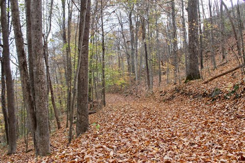 Autumn Ridge Tract 23