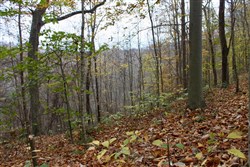 Autumn Ridge Tract 23