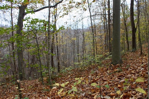 Autumn Ridge Tract 23