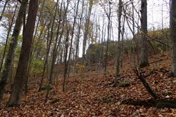 Autumn Ridge Tract 23