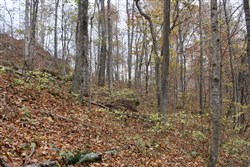 Autumn Ridge Tract 23