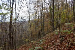 Autumn Ridge Tract 23
