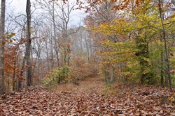 property photo for Autumn Ridge Tract 24, 15.51 acres for sale in Leslie County, Kentucky