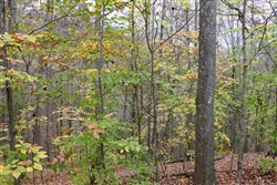 property photo for Autumn Ridge Tract 24, 15.51 acres for sale in Leslie County, Kentucky