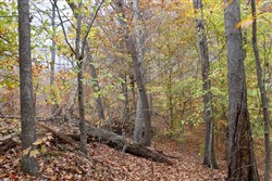 property photo for Autumn Ridge Tract 24, 15.51 acres for sale in Leslie County, Kentucky
