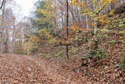 property photo for Autumn Ridge Tract 3, 8.19 acres for sale in Leslie County, Kentucky