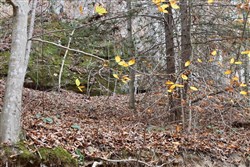property photo for Autumn Ridge Tract 3, 8.19 acres for sale in Leslie County, Kentucky
