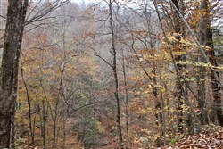 property photo for Autumn Ridge Tract 3, 8.19 acres for sale in Leslie County, Kentucky