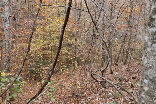 Autumn Ridge Tract 4