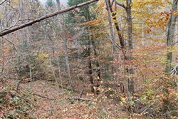 Autumn Ridge Tract 4