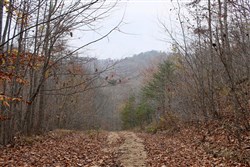 property photo for Autumn Ridge Tract 5, 8.04 acres for sale in Leslie County, Kentucky