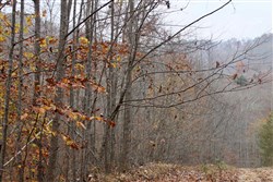property photo for Autumn Ridge Tract 5, 8.04 acres for sale in Leslie County, Kentucky