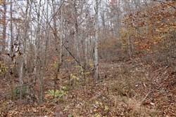 property photo for Autumn Ridge Tract 5, 8.04 acres for sale in Leslie County, Kentucky