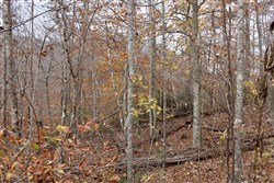 property photo for Autumn Ridge Tract 5, 8.04 acres for sale in Leslie County, Kentucky