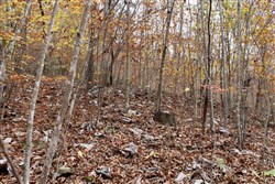 property photo for Autumn Ridge Tract 5, 8.04 acres for sale in Leslie County, Kentucky