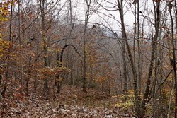 property photo for Autumn Ridge Tract 5, 8.04 acres for sale in Leslie County, Kentucky