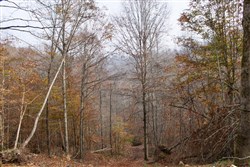 property photo for Autumn Ridge Tract 7, 11.51 acres for sale in Leslie County, Kentucky