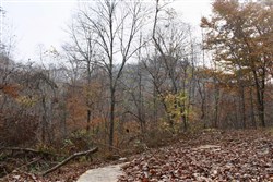 property photo for Autumn Ridge Tract 7, 11.51 acres for sale in Leslie County, Kentucky