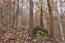 property photo for Autumn Ridge Tract 7, 11.51 acres for sale in Leslie County, Kentucky