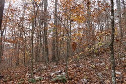 property photo for Autumn Ridge Tract 7, 11.51 acres for sale in Leslie County, Kentucky