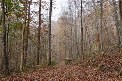 Autumn Ridge Tract 8